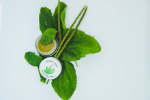 Load image into Gallery viewer, Plantain Itch & Bite Balm