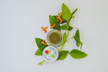 Load image into Gallery viewer, Poison Ivy Salve
